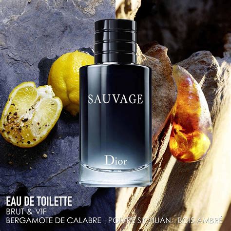 dior sauvage eau de toilette 100 ml douglas|dior eau sauvage boots.